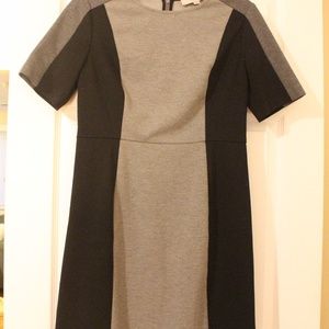 LOFT Petites Dress